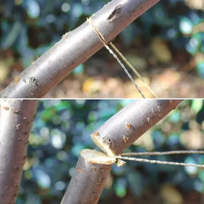 Serra Portátil de Fio de Aço Inoxidável com Alça